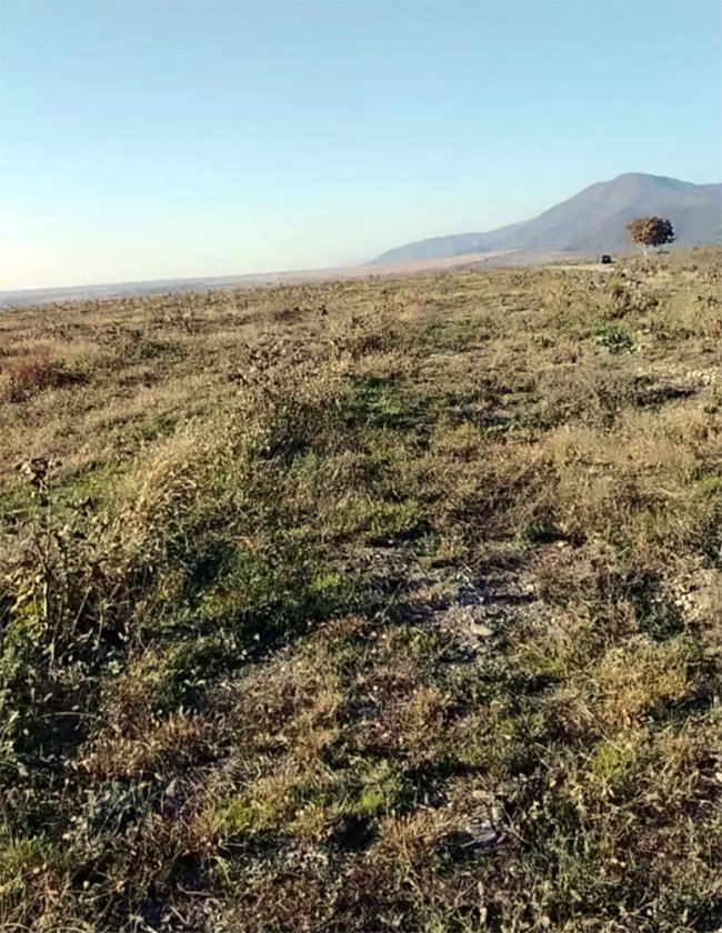 Ekologiya.az araşdırdı, saxtakarların oynunu pozub, ifşa etdi - VİDEO