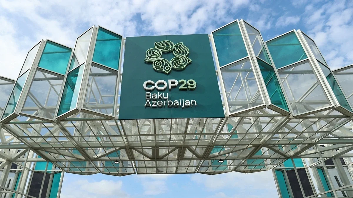 COP29-un TARİXİ UĞURU: Karbon bazarına "YAŞIL İŞIQ"