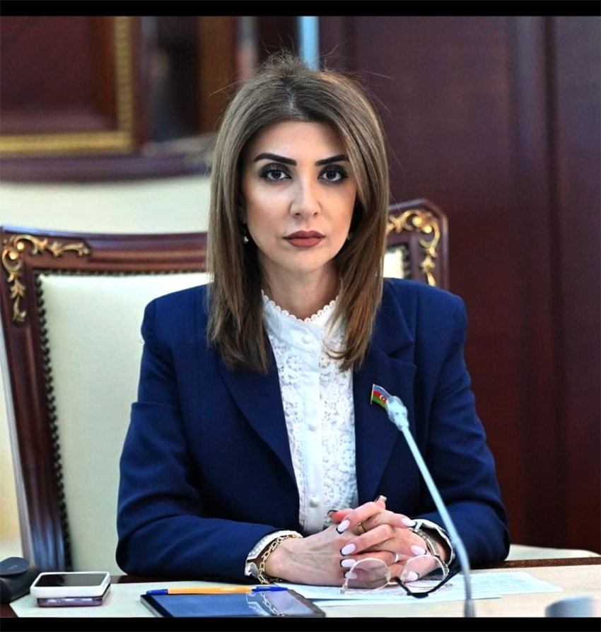 "Qərb "demokratiya" " insan hüquqları" kimi institusional məfhumlar üzərindən siyasi manipulyasiya edir" - DEPUTAT