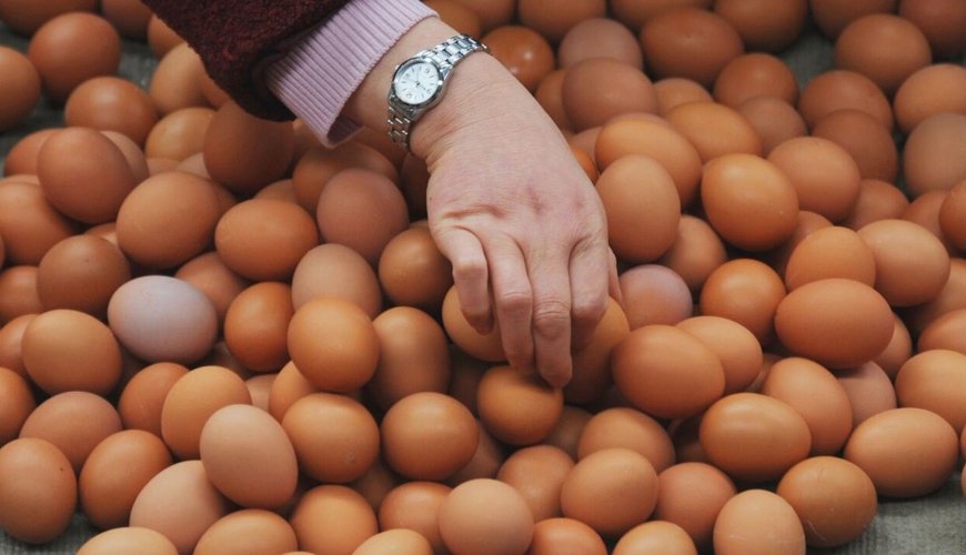 Bakıda yumurtanın qiyməti BAHALAŞDI? - AÇIQLAMA
