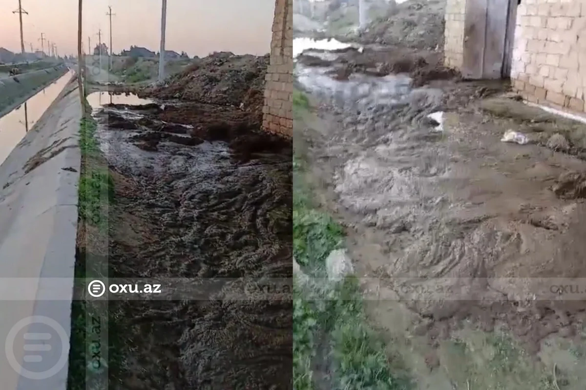 Peyin gölməçəsi, "VARLILAR ÜÇÜN" zibil konteynerləri - Türkanda NƏ BAŞ VERİR?