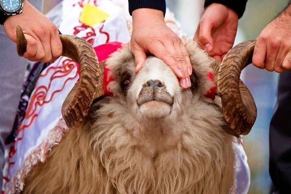 QƏRAR VERİLDİ: Bu il qurban kəsməyin – Xalqa ÇAĞIRIŞ