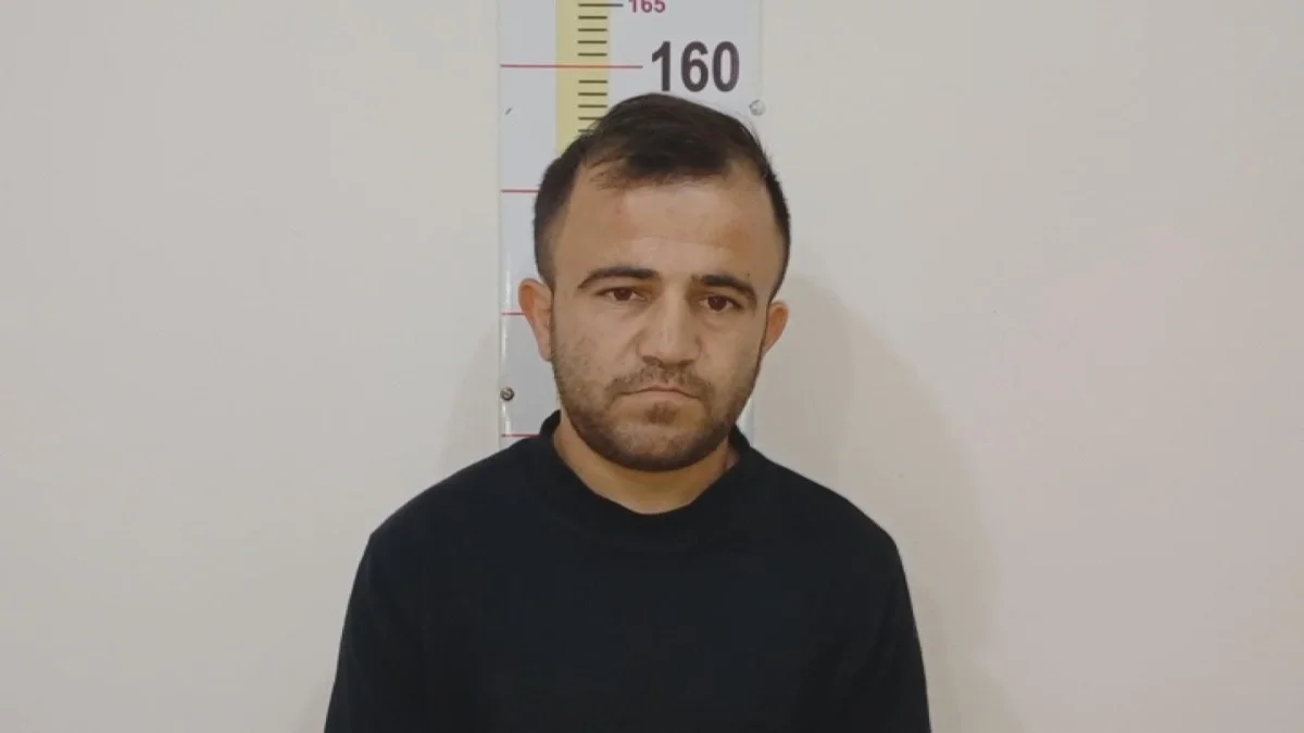 27 baş qoyun oğurladı, həbs edildi - VİDEO
