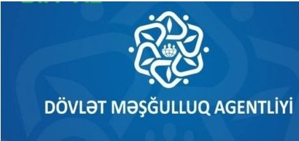 Məşğulluq Agentliyi özünə umac ova bilməyən “BİS CO” MMC-yə əriştə kəsdirir – Milyonlarla manata