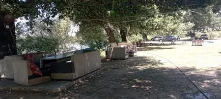 Meşə Təsərrüfatında Qanunsuzluq: Kimlər Məsuliyyətdən Qaçır?