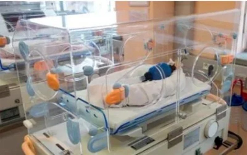 6 saylı doğum evində RÜŞVƏT RƏZALƏTİ: üçəm doğuldu, 2500 manat istəndi, körpələrin ikisi tələf oldu? - ŞOK DETALLAR