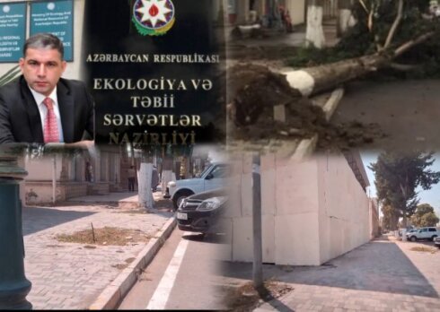 Ağstafada Ümummilli liderin adını daşıyan prospektdə "ekoloji Terror"/ Ağacı kəsib, Obyekt tikirlər / VİDEO