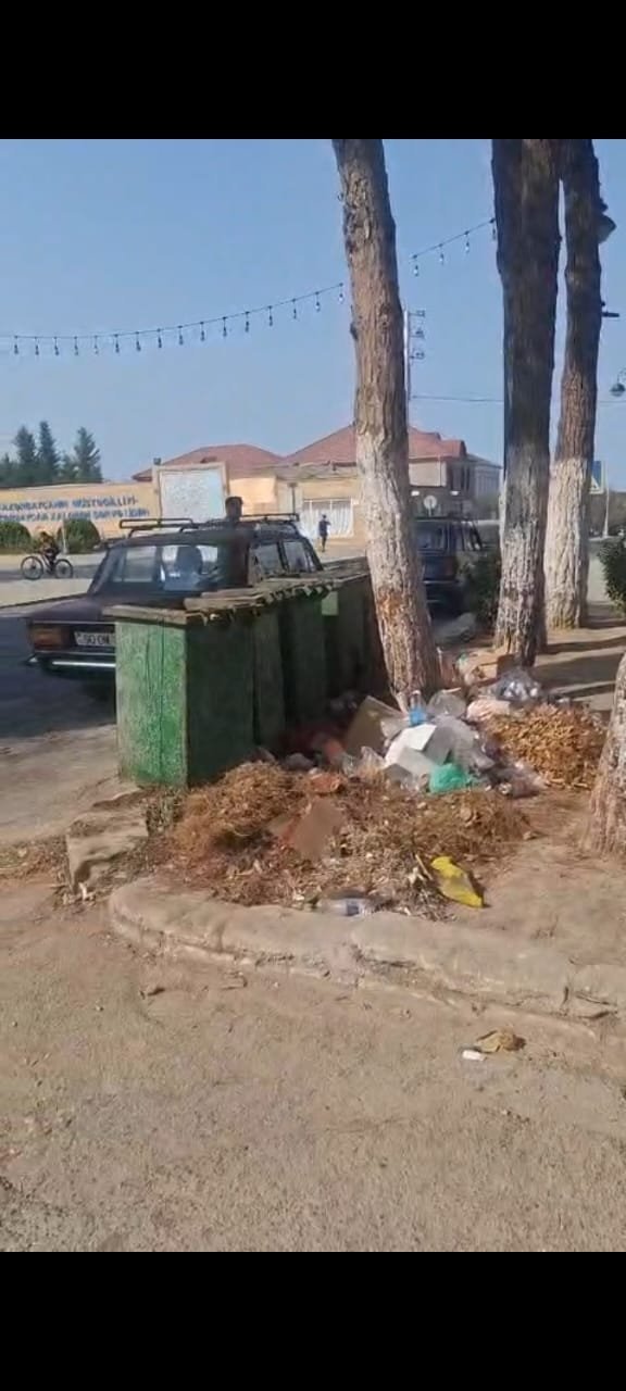 Şabranın küçələri zibil yığınları ALTINDA: Problemin həlli nə vaxt tapılacaq? - VIDEO
