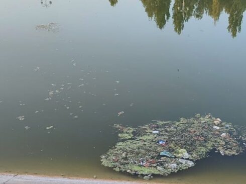 Bərdənin mərkəzi parkında antisanitariya: Üfunət iyi gəlir (FOTO/VİDEO)
