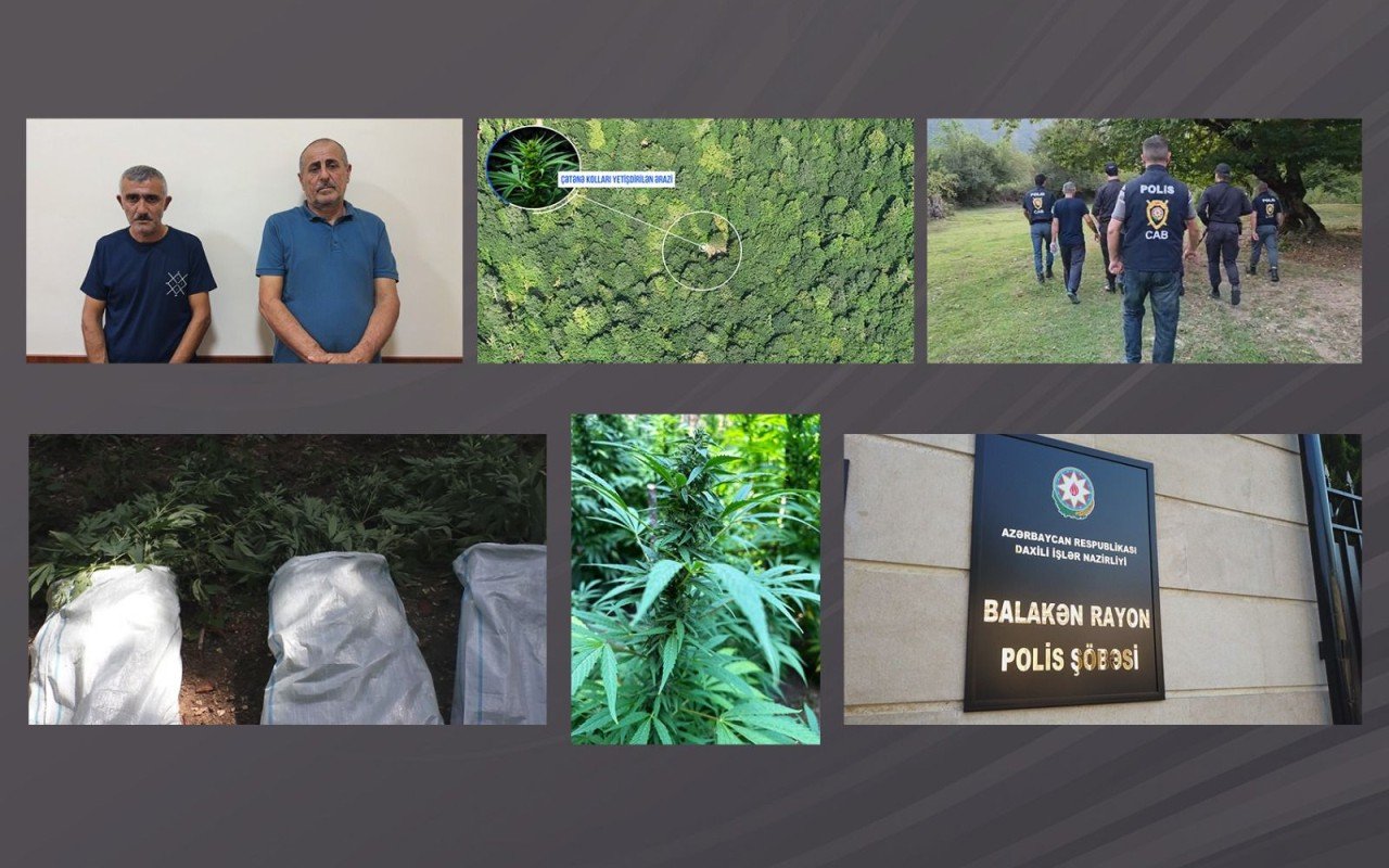 Polis dağlarda əməliyyat keçirdi - Silahlı şəxslər tutuldu (VİDEO)