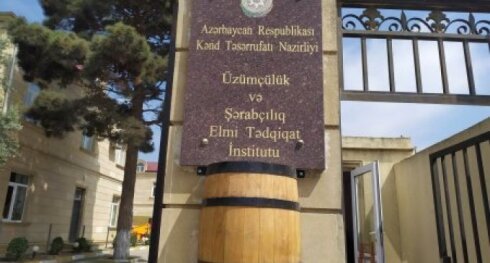 “İnam Grop 2024” MMC Üzümçülük və Şərabçılıq İnstitutuna həm təmir, həm də elmi tədqiqat xidmətləri göstərir - BU NƏDİ BELƏ?