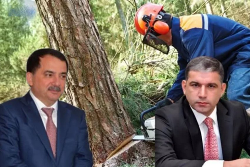 Qazaxda EKOLOJİ SOYQIRIM: Rəcəb Babaşovun qərarı, yoxsa Elşən Şirinovun SƏHLƏNKARLIĞI