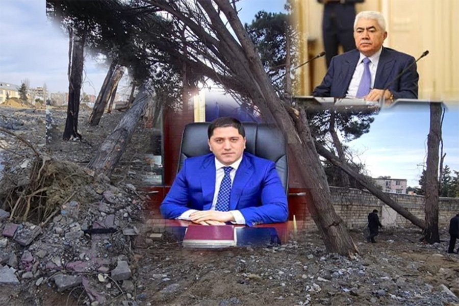 “Park Əcəmi”nin tikintisində AĞACLARI belə MƏHV EDİBLƏR - Aktla 30, əslində 70-dən ÇOX AĞAC...