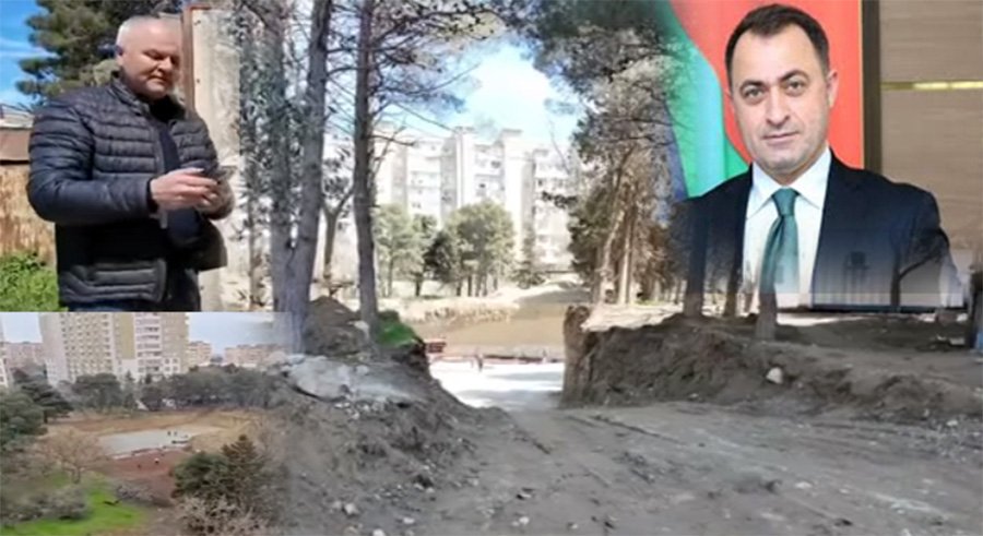 Nizami rayonunda ağacların məhv edilməsi ilə bağlı İDDİALAR – İcra başçısı narahat deyil - VİDEO