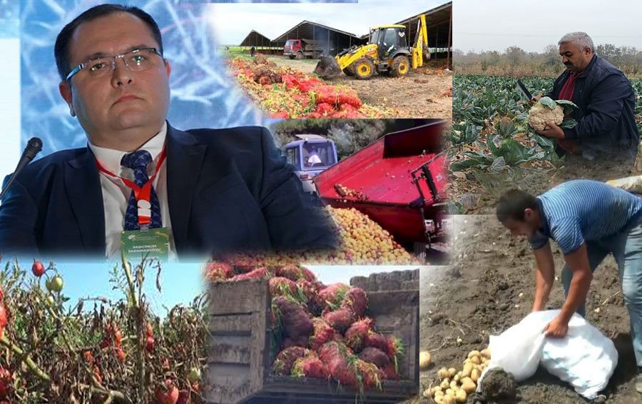 Faizsiz kredit, yoxsa yeni BORCLANMA? - Məcnun Məmmədovun PLANI NƏDİR?
