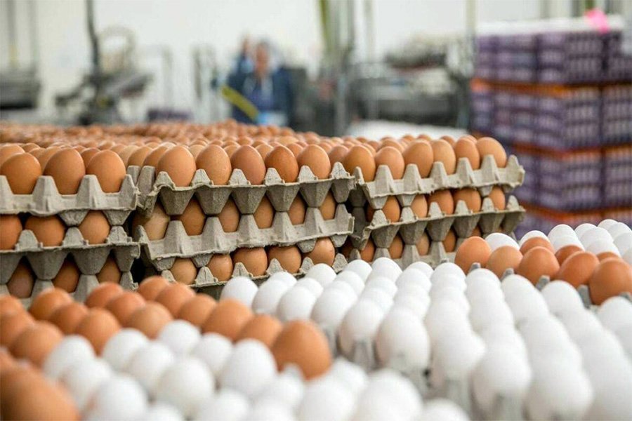 Marketlərdə YUMURTA BÖHRANI - Qiymətlər süni olaraq BAHALAŞACAQ...